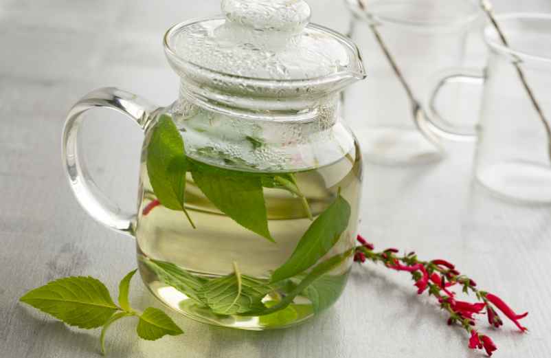 Les bienfaits de la verveine sur la santé : ce qu’il faut savoir-Kiné-Service